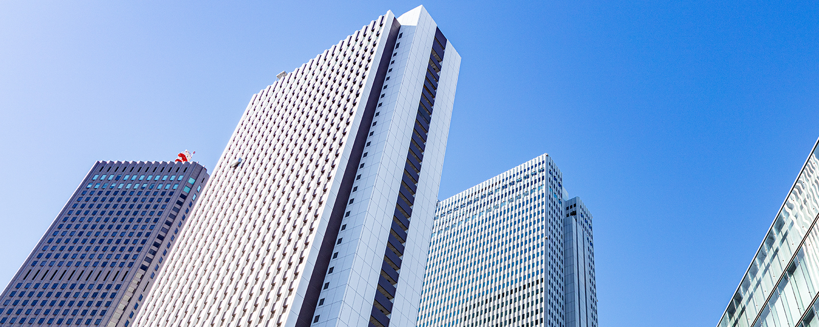 Team members collaborating on a project